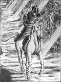image of boy on horse